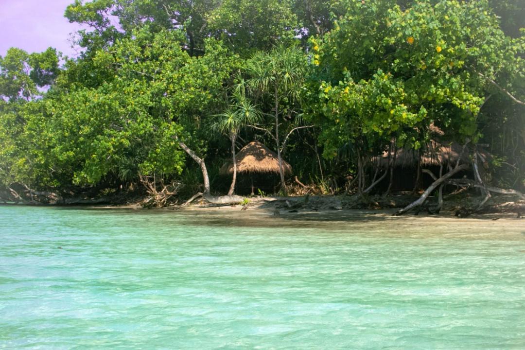 Photo of Others in Peucang Island