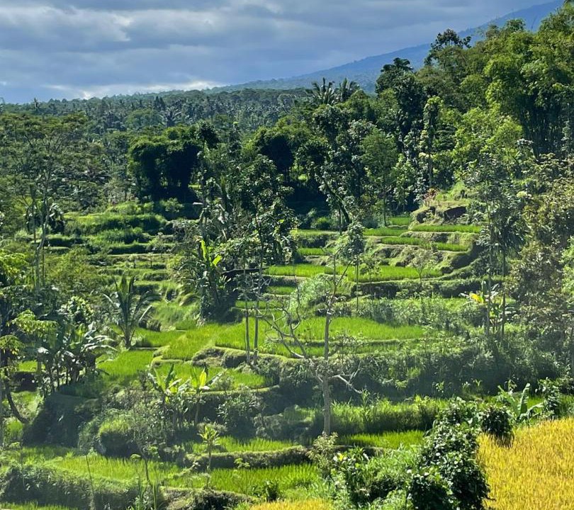 Photo of Others in Kotaraja