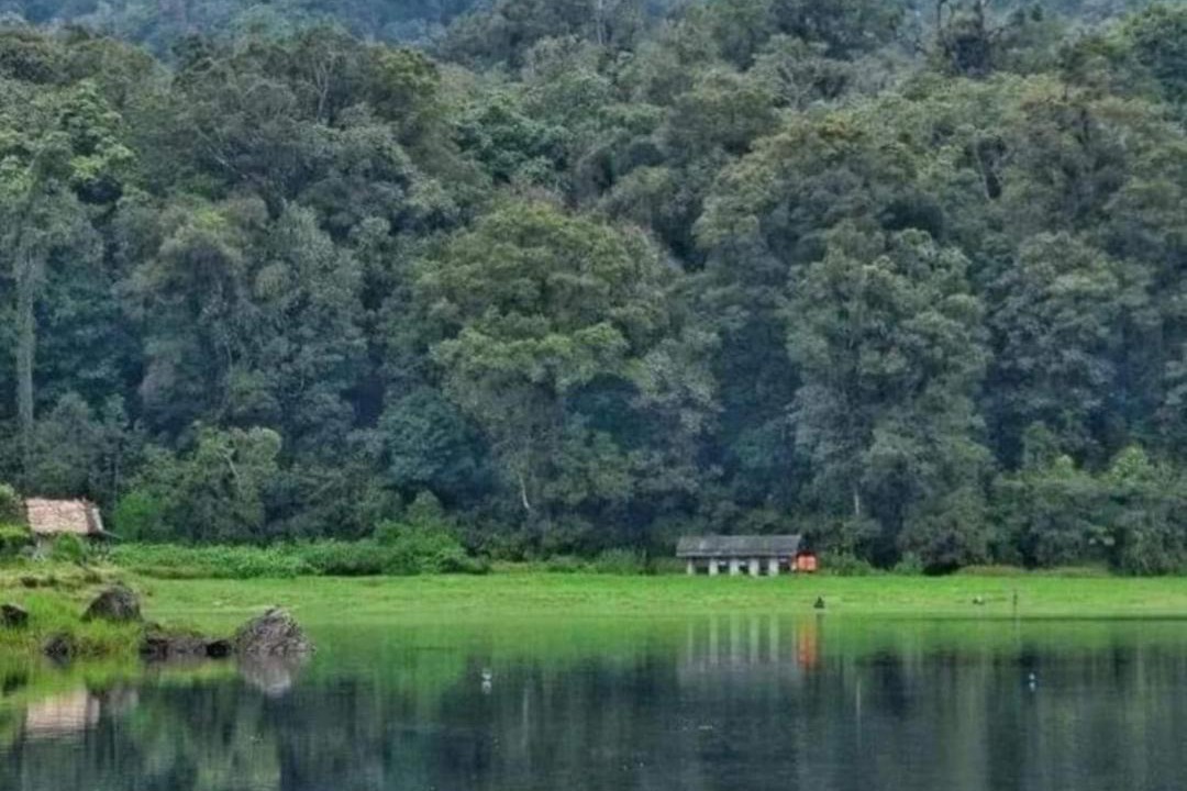 Photo of Others in Rancabali
