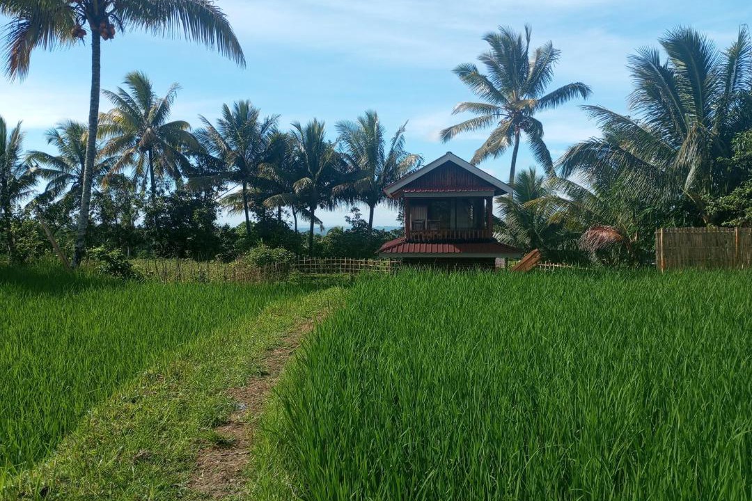Photo of Others in Tetebatu