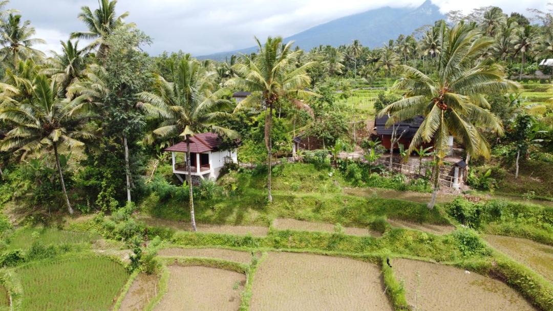 Photo of Others in Tetebatu