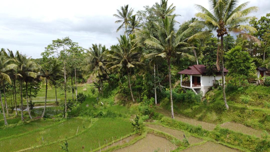 Photo of Others in Tetebatu