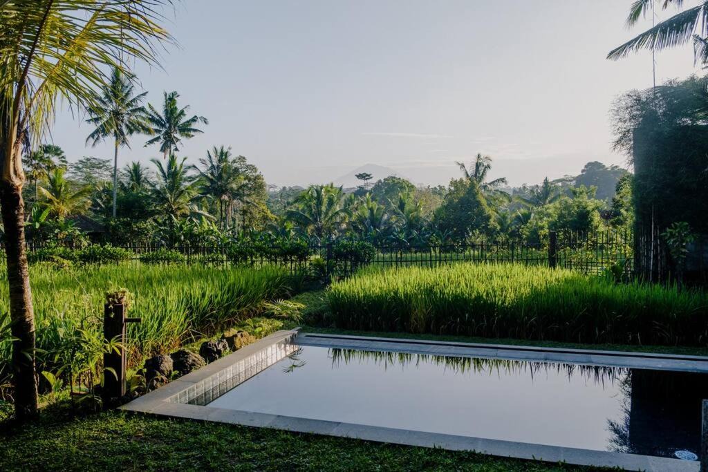 Photo of Others in Payangan