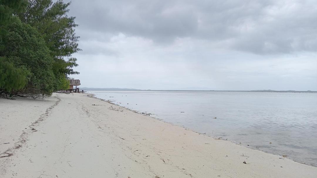 Photo of Others in Raja Ampat
