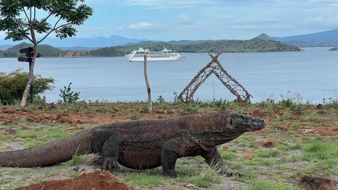 Photo of Others in Komodo