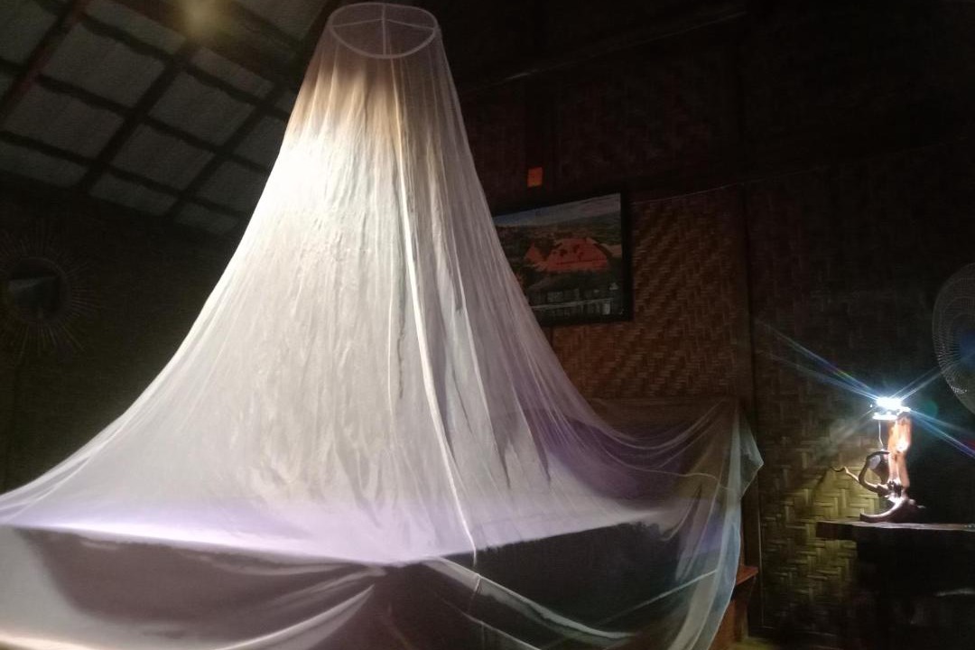 Photo of Others in Tetebatu