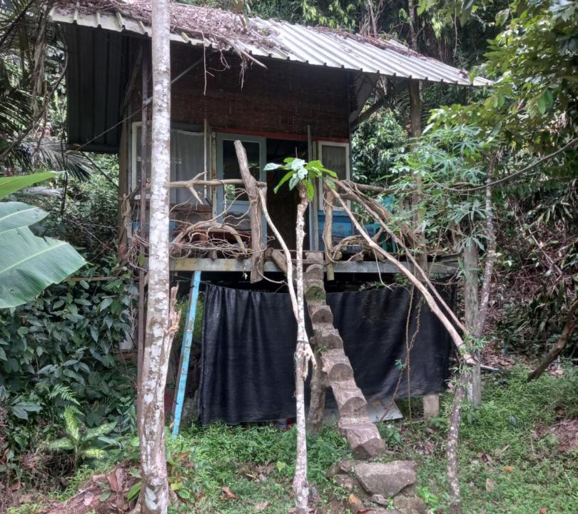 Photo of Others in Nagari Sungai Pinang