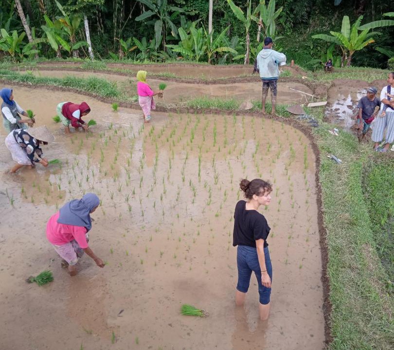 Photo of Others in Tetebatu