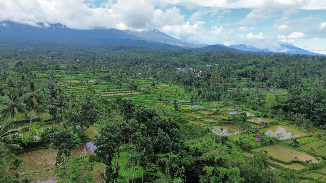 Photo of Others in Tetebatu