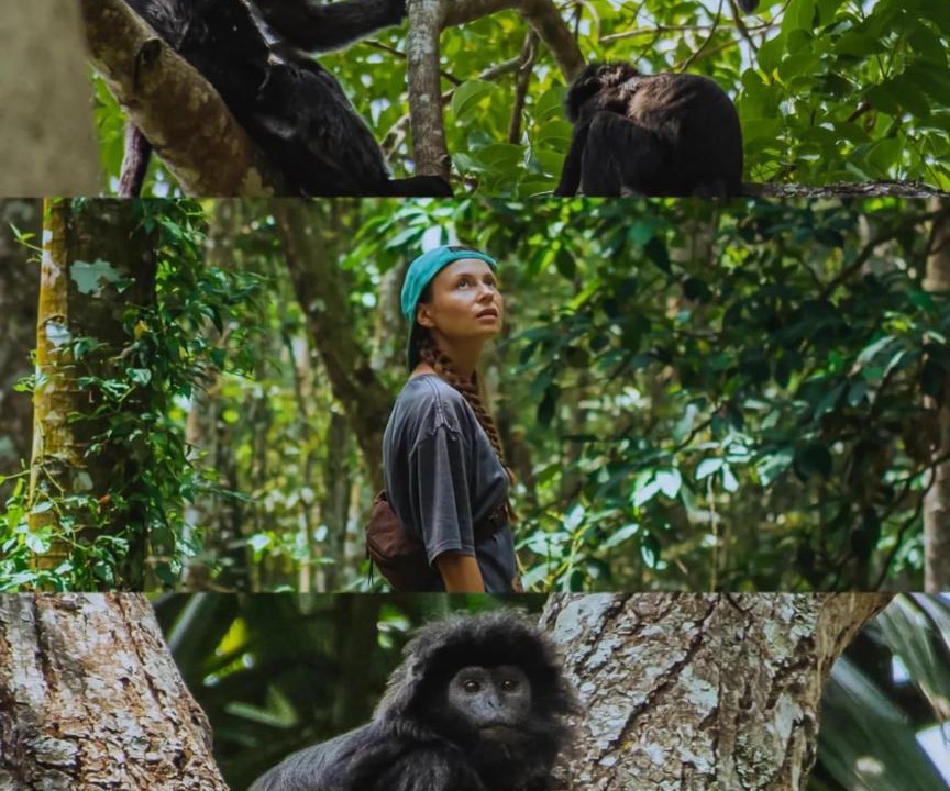 Photo of Others in Tetebatu