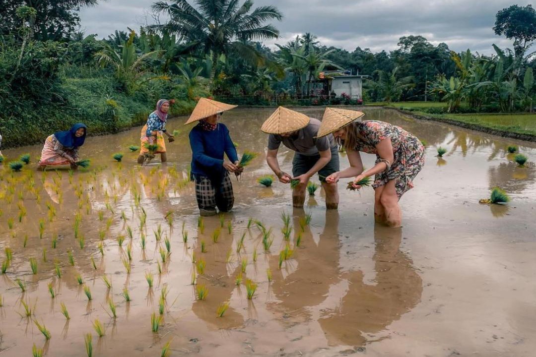 Photo of Others in Tetebatu