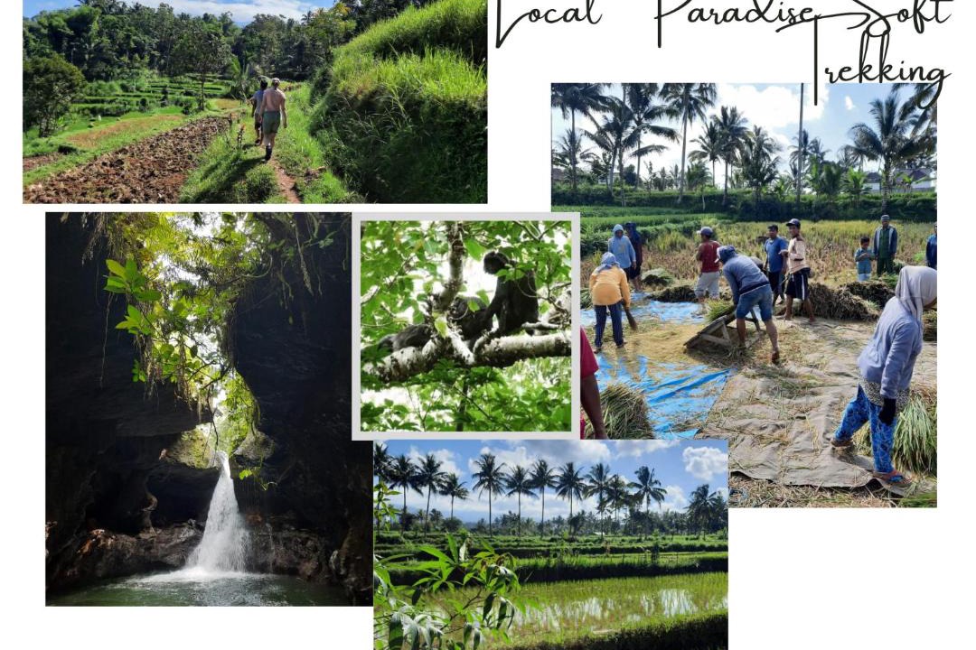 Photo of Others in Tetebatu
