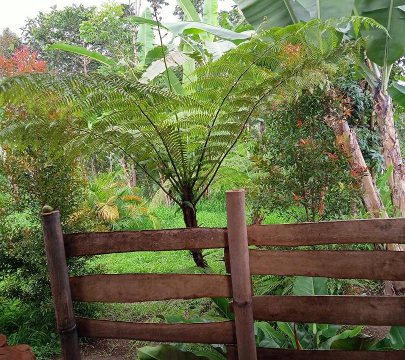 Photo of Others in Tetebatu