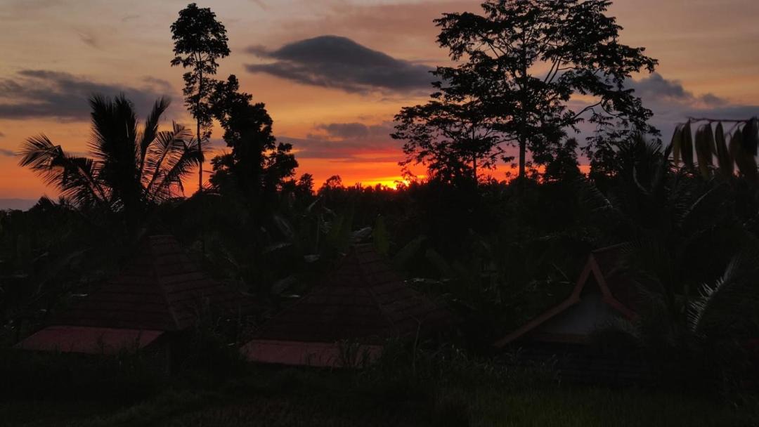 Photo of Others in Tetebatu