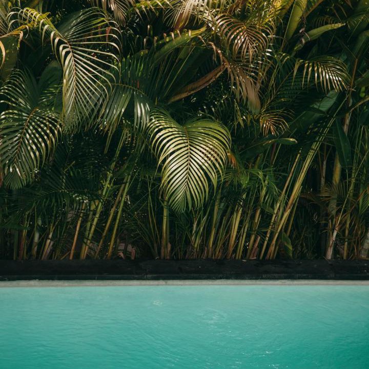 Photo of Others in Uluwatu