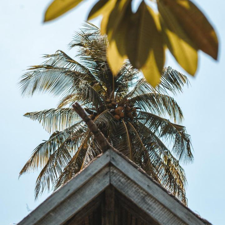 Photo of Others in Gili Air