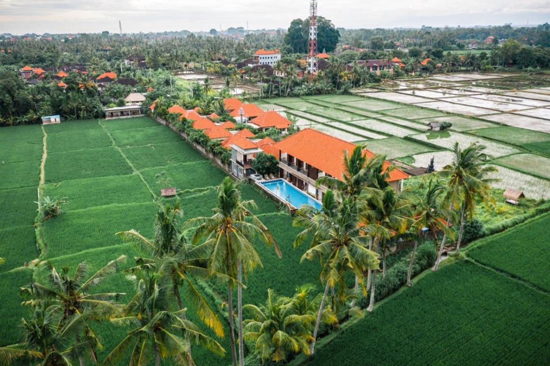 Photo of Others in Kemenuh