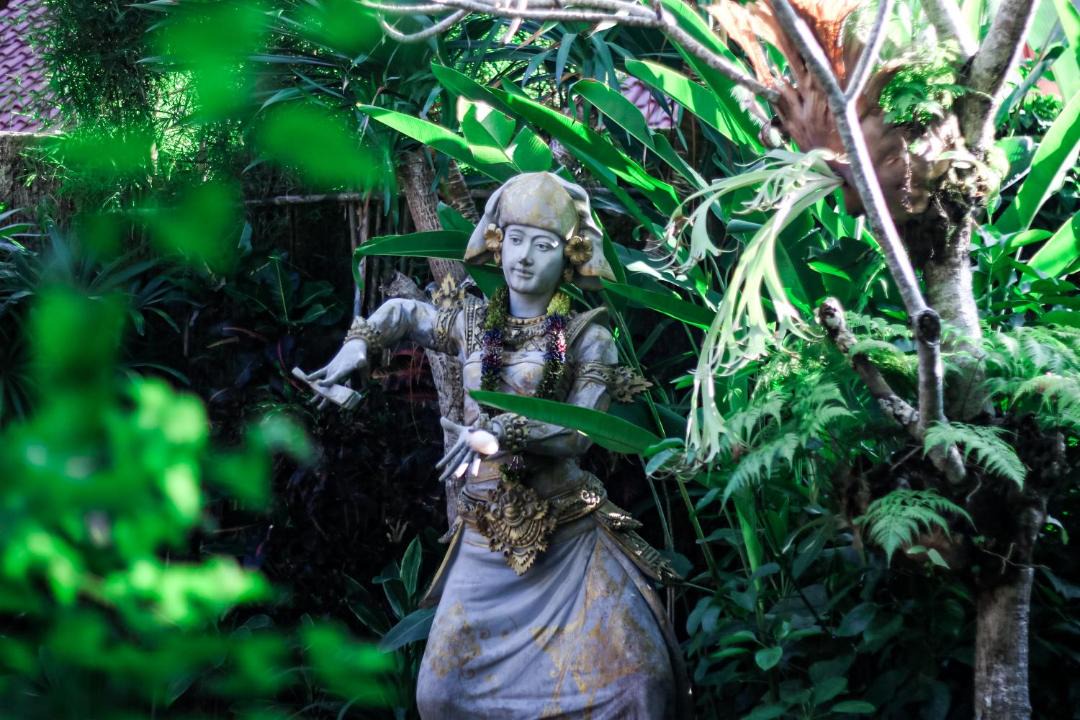 Photo of Others in Ubud City-Centre