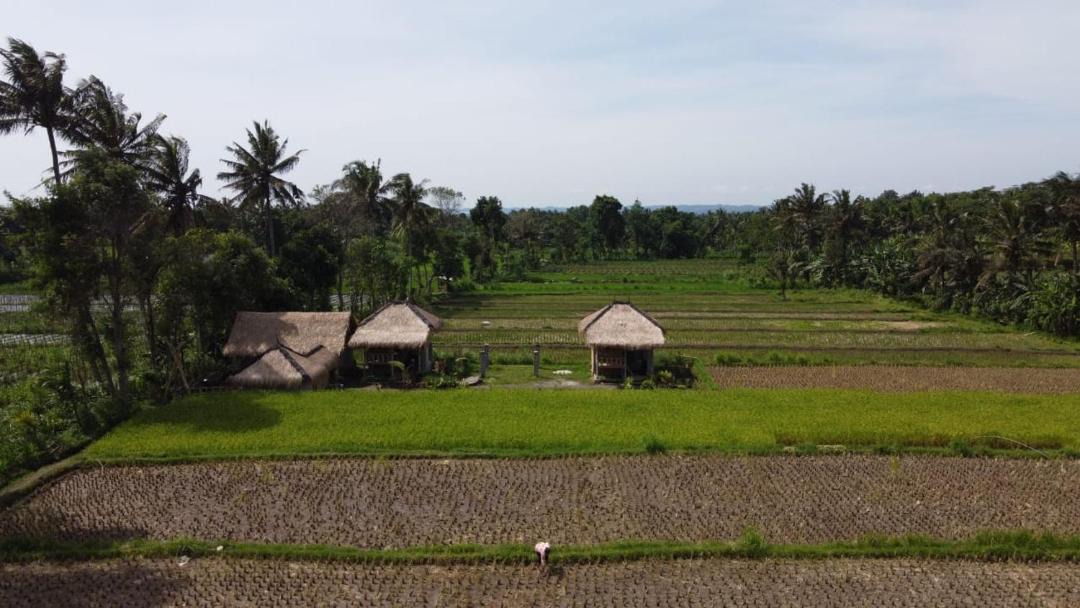 Photo of Others in Kotaraja