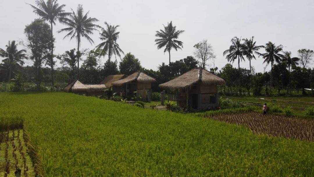 Photo of Others in Kotaraja