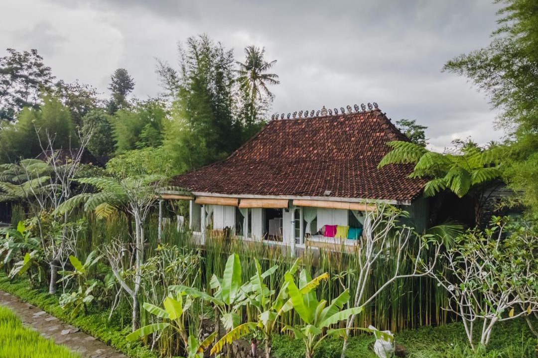 Photo of Others in Cangkringan