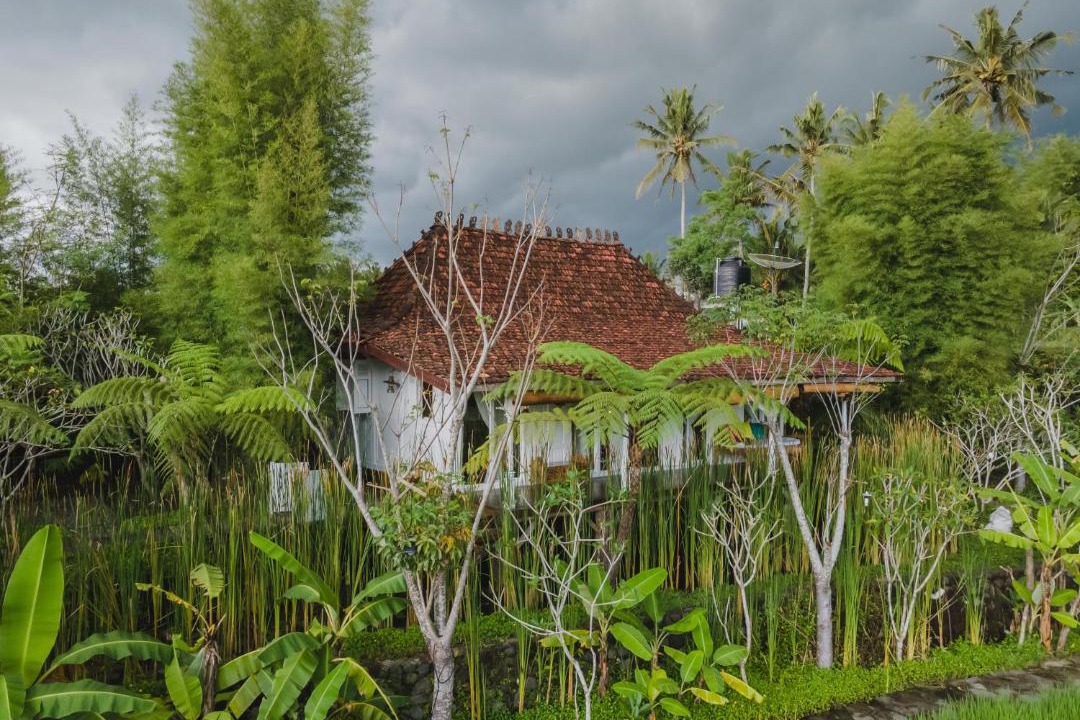 Photo of Others in Cangkringan