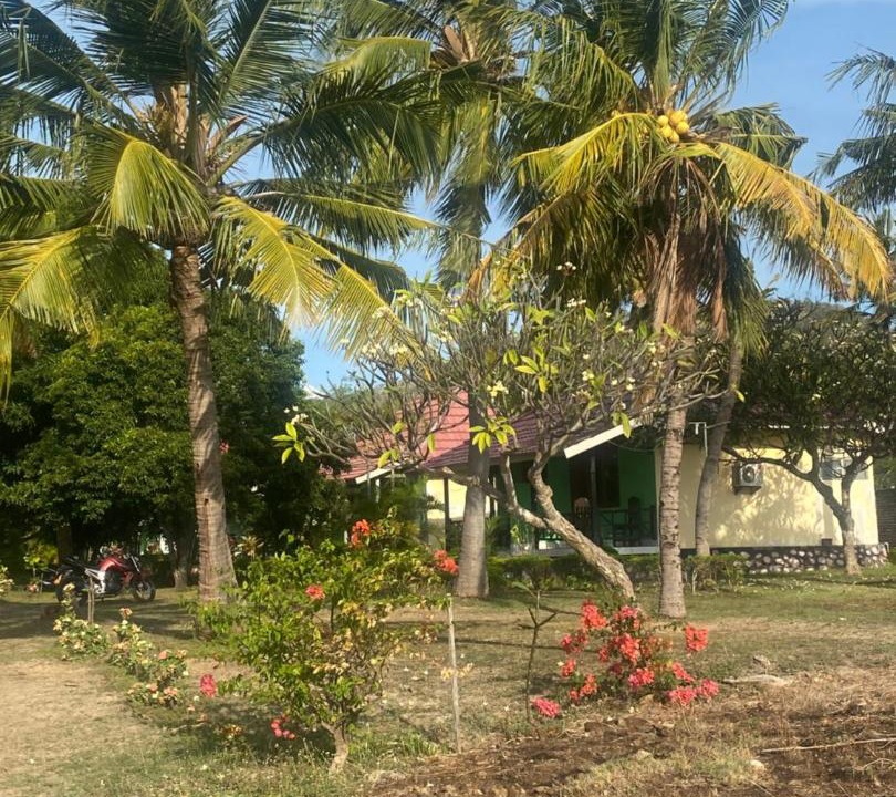 Photo of Others in Hu'u