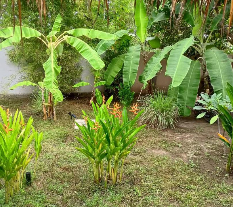 Photo of Others in Gili Air