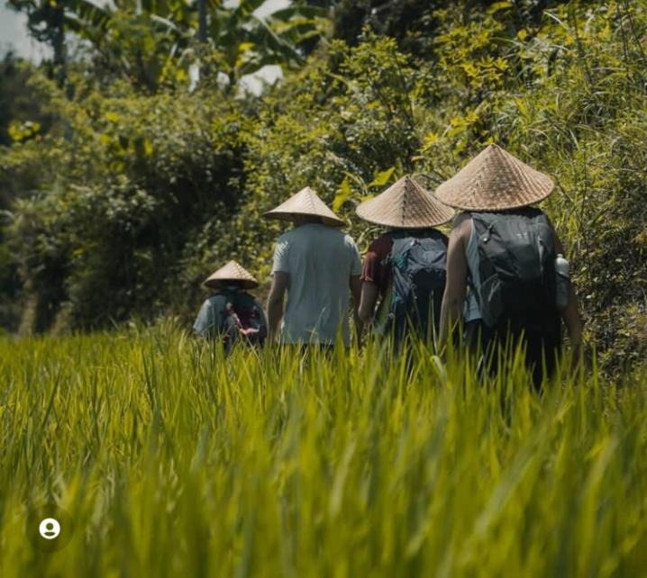 Photo of Others in Tetebatu