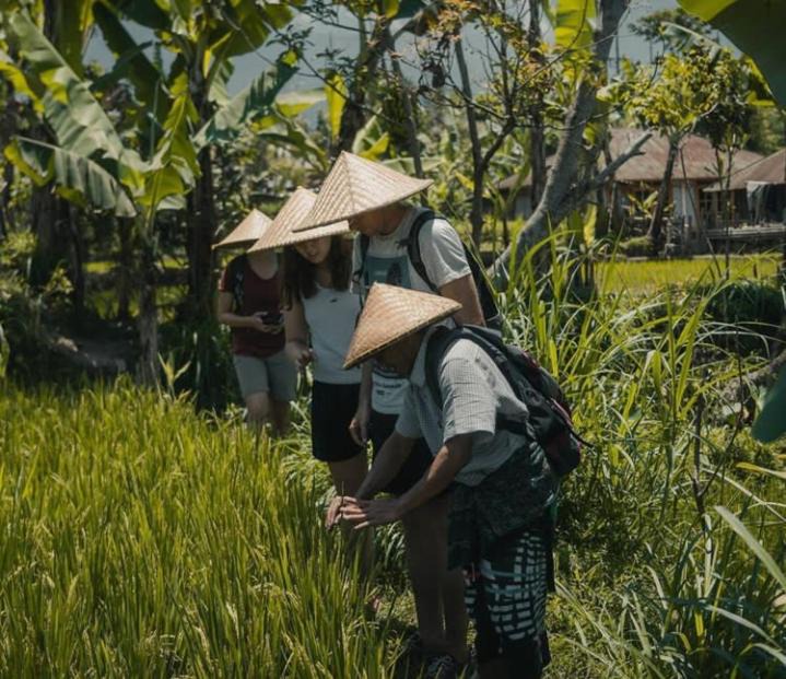 Photo of Others in Tetebatu