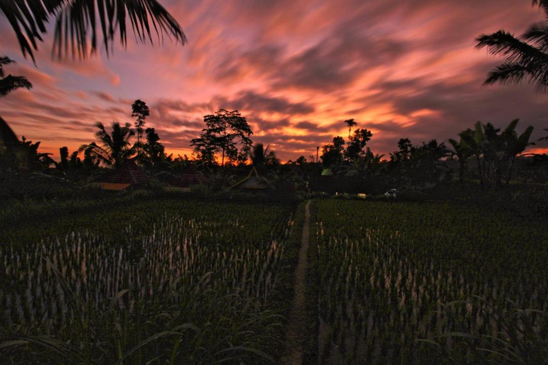 Photo of Others in Tetebatu