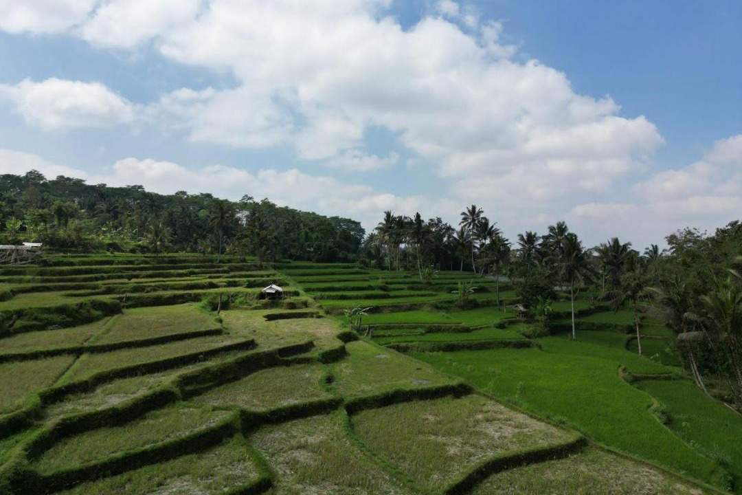 Photo of Others in Tetebatu