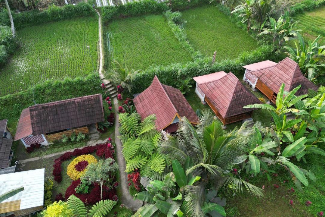 Photo of Others in Tetebatu