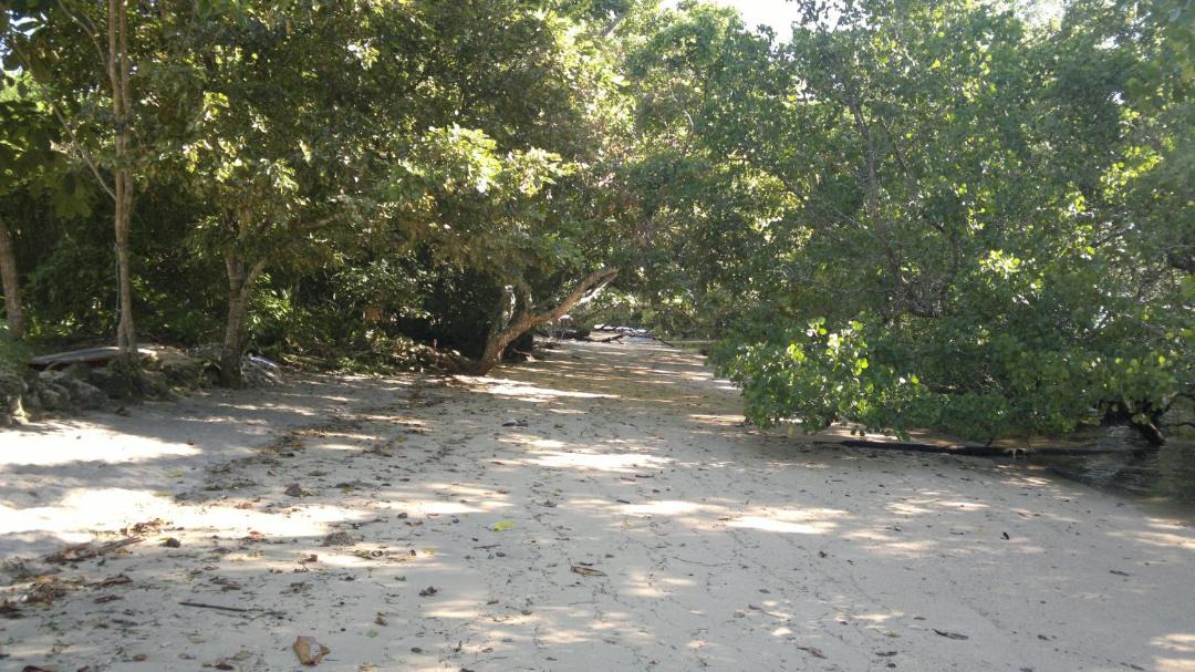 Photo of Others in Bunaken