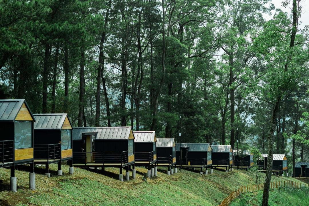 Photo of Others in Pujon