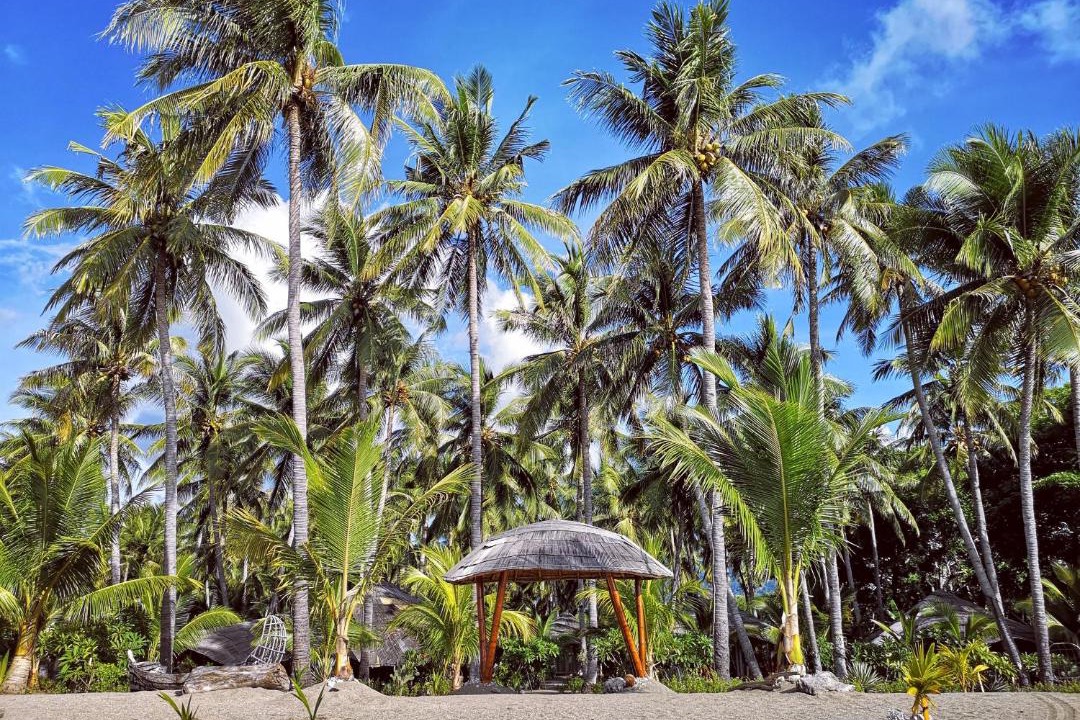 Photo of Others in Maumere