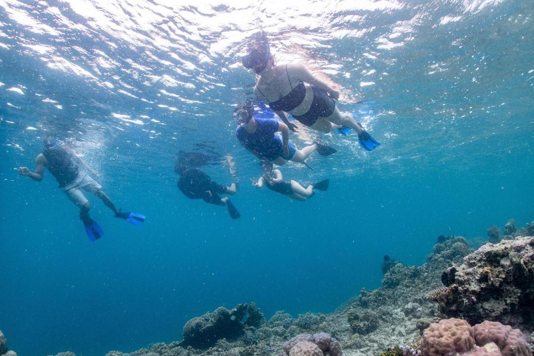 Photo of Others in Labuan Bajo
