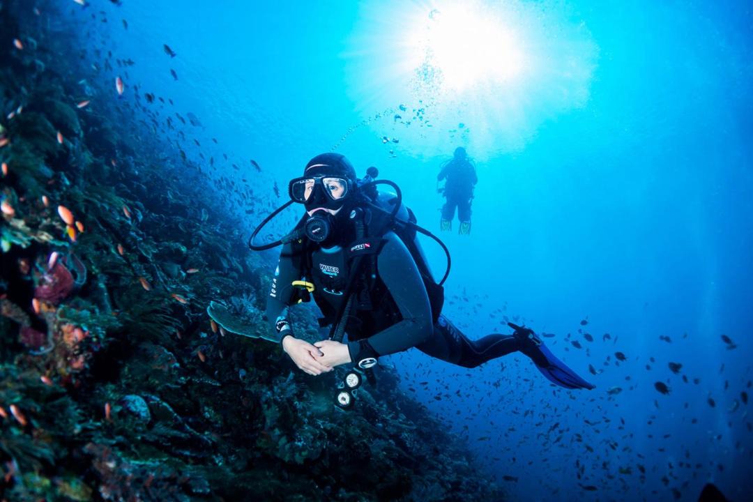 Photo of Others in Labuan Bajo
