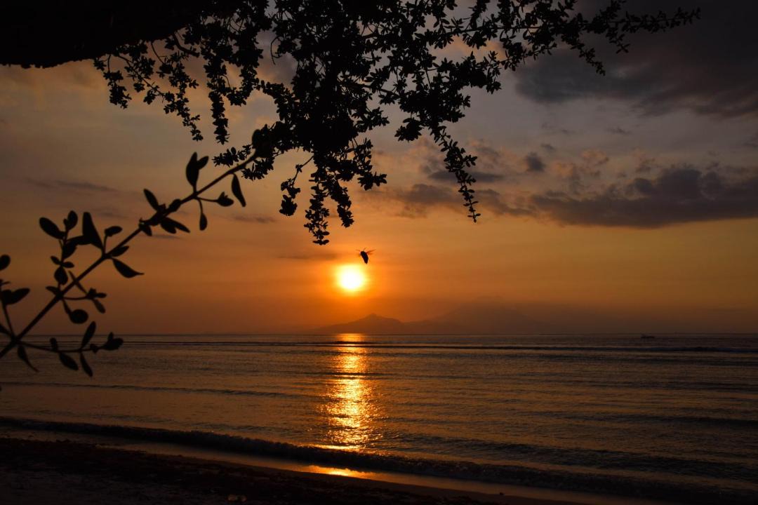 Photo of Others in Gili Meno