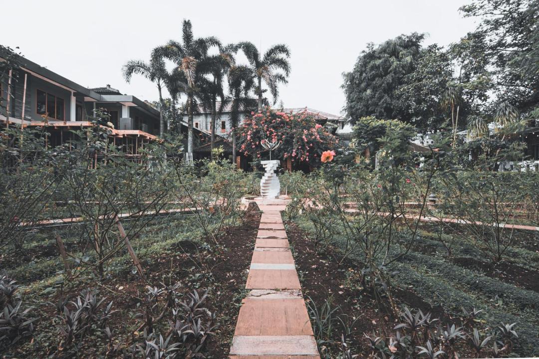 Photo of Others in Parongpong