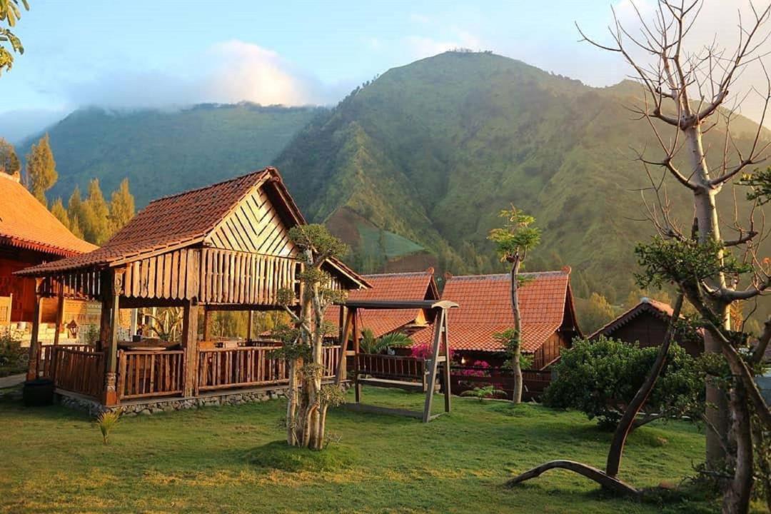 Photo of Buildings in Ngadisari