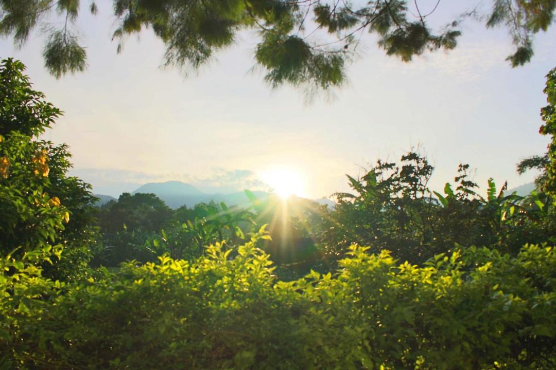 Photo of Others in Bogor Tengah