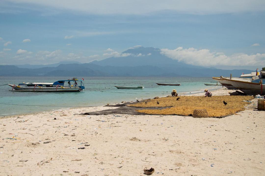 Photo of Others in Penida Island