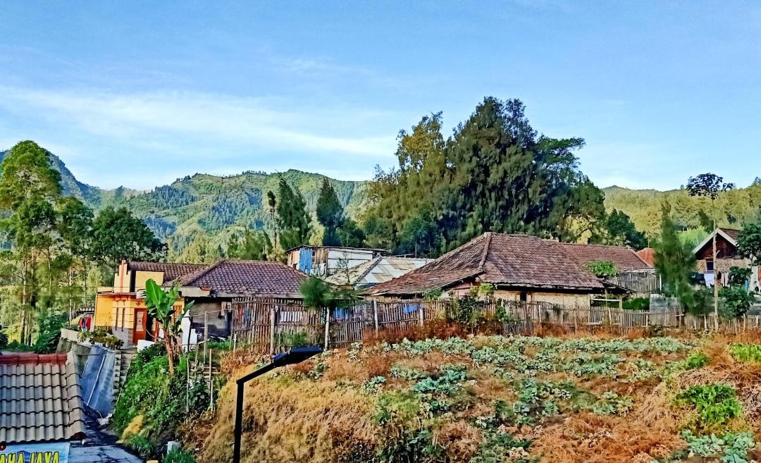 Photo of Others in Ngadisari