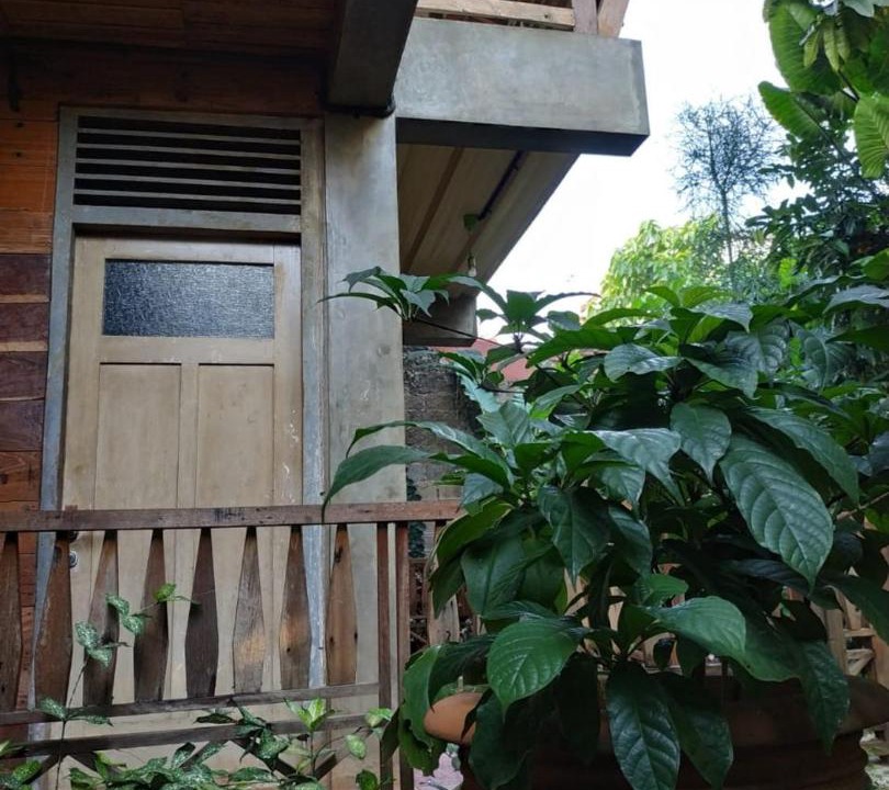 Photo of Buildings in Depok