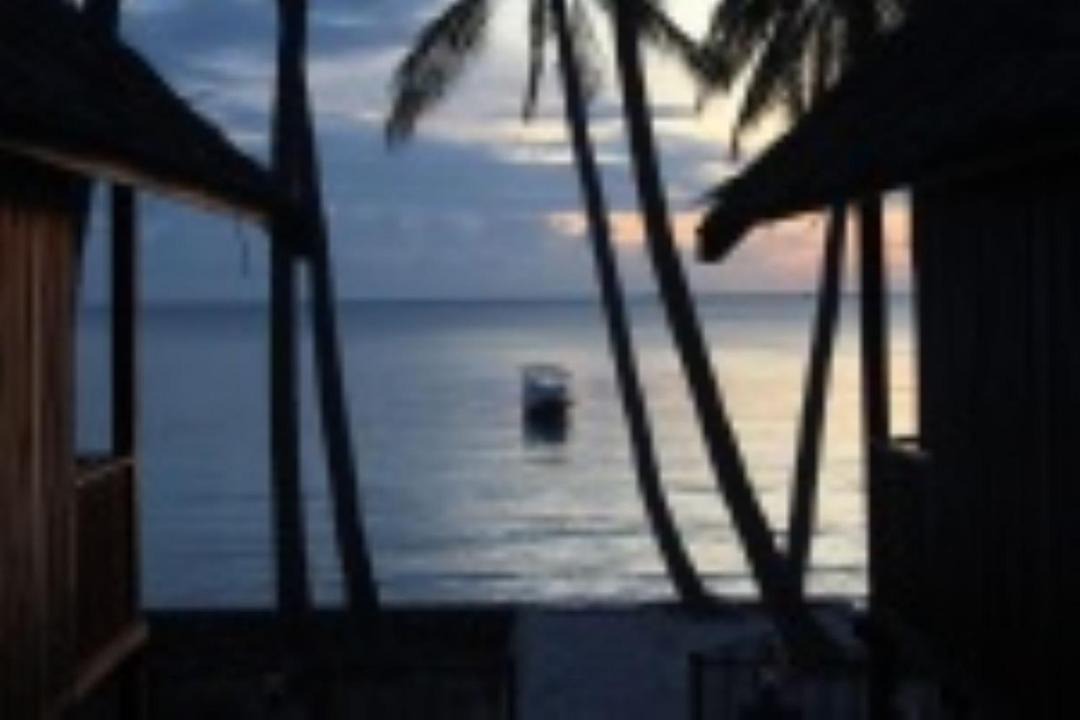 Photo of Others in Bira