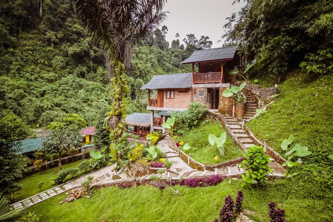 Photo of Others in Bukit Lawang