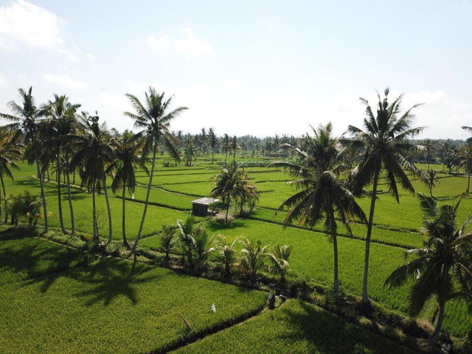 Photo of Others in Kemenuh