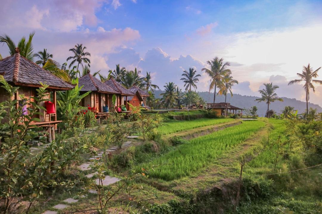 Photo of Others in Munduk