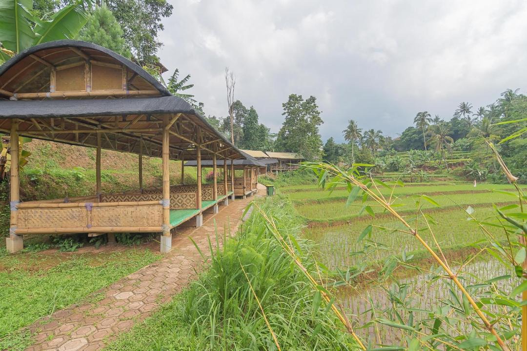 Photo of Others in Wanayasa